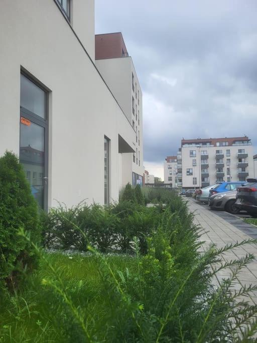 Olive Tree Apartment - Klimatyzacja - Air Conditioning-Self-Check-In Katowice Zewnętrze zdjęcie
