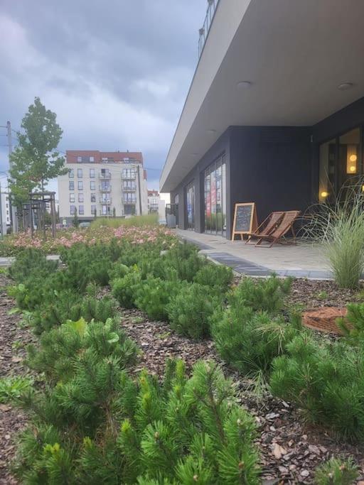 Olive Tree Apartment - Klimatyzacja - Air Conditioning-Self-Check-In Katowice Zewnętrze zdjęcie
